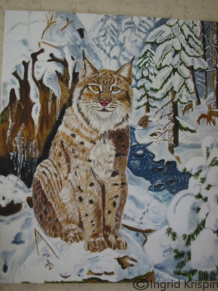 Bild42.jpg