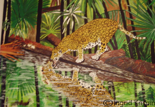 Leopard