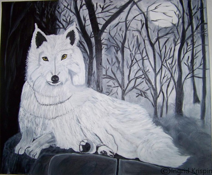 Weißer-Wolf.jpg